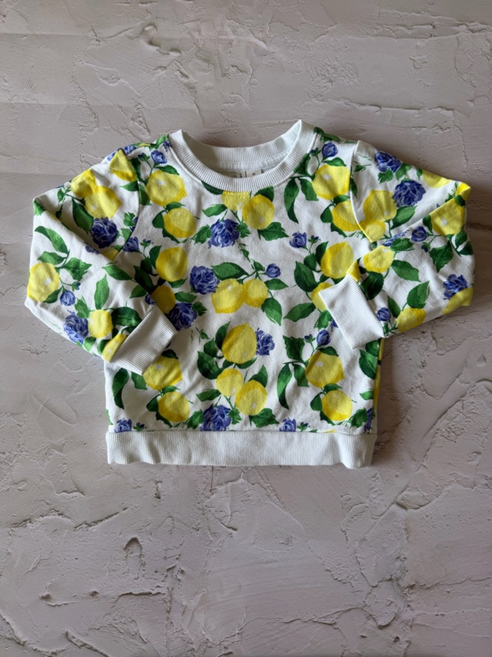 Janie and Jack White Sweatshirt with Yellow Lemon & Blue Floral Print